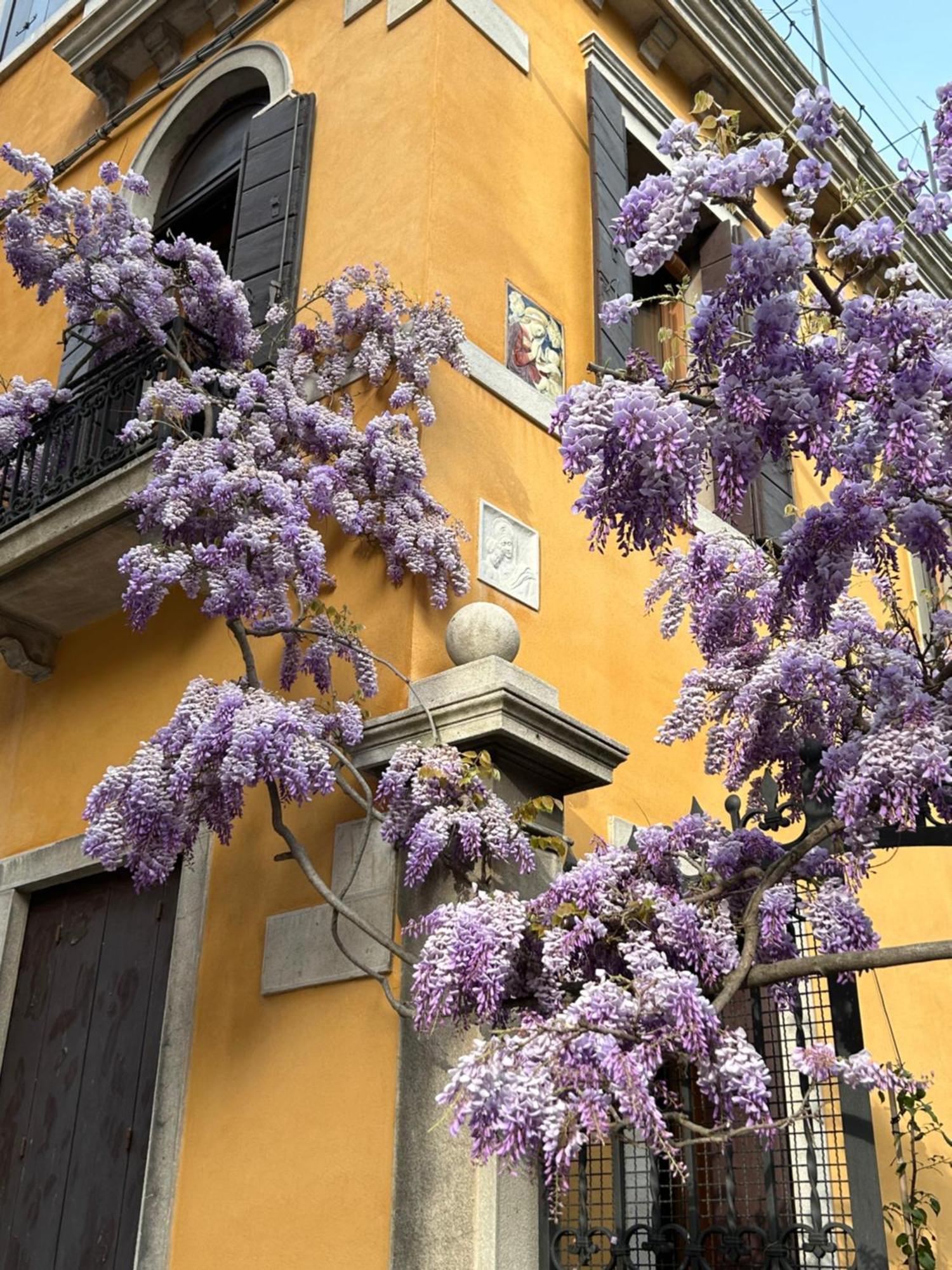 Carbonaia Venezia Hotel Exterior foto